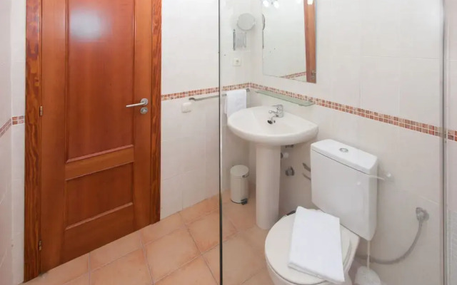 Anahi Home Dracaena 4