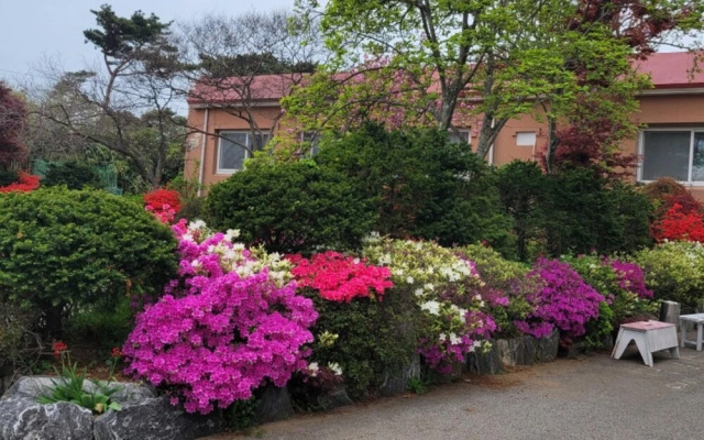 Hongseong Solbatcheonsu