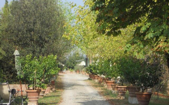 Tenuta Il Tresto