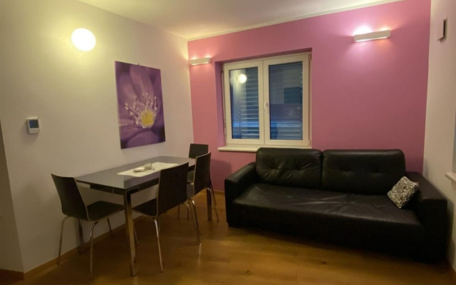 Wellness Suite Viola