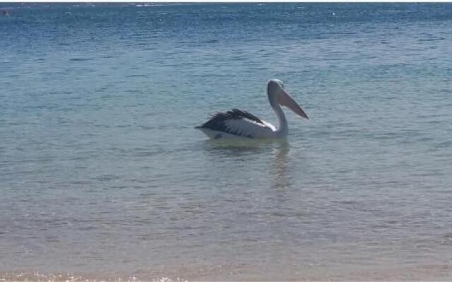 Casablanca Loft L518