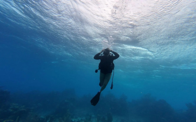 Hotel and Dive Center Roatan Yacht Club