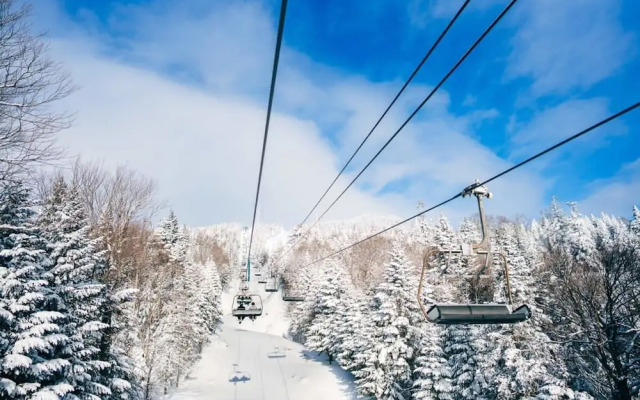 Beautiful Condo 3-eleven at Tremblant Citq 295535