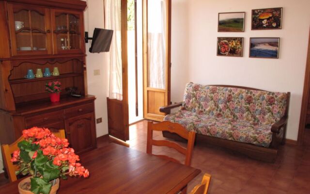 San Vivaldo. Nr. 11 (MOI132)