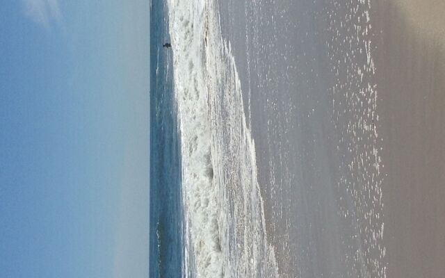 Brushwood House by Smith Point Beach