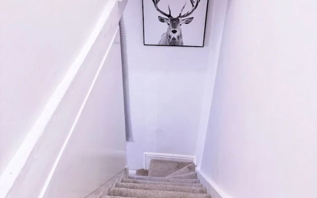 Bristol City Center - Cosy 2 Bedroom House