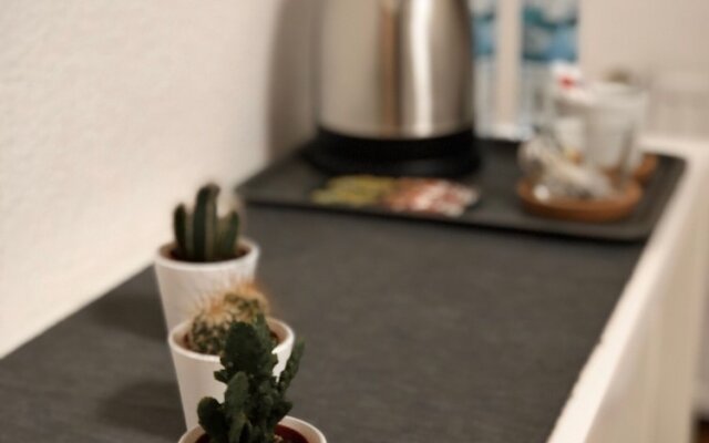 Kaiser Homestay