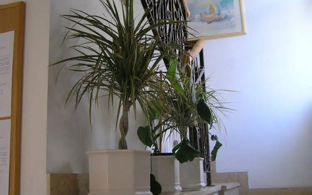 Apartments Paloma Blanca