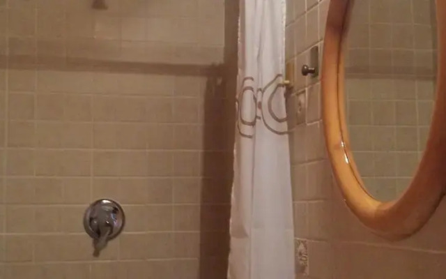 la terra degli ulivi