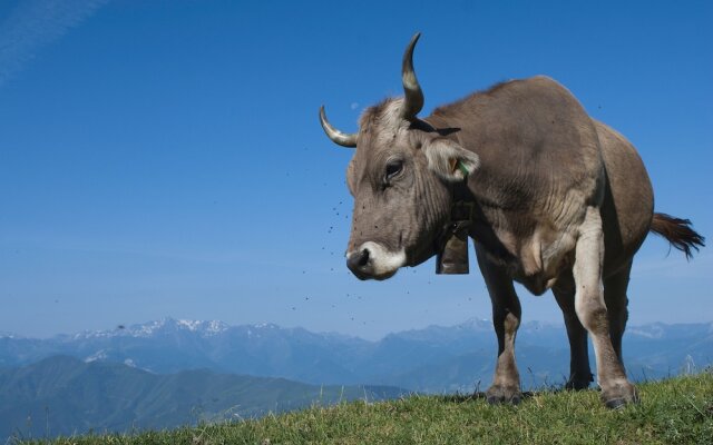 Posada Villa Esperanza