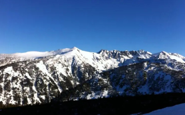 The Green Pine Chalet