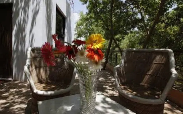 The Woods Villa Resort