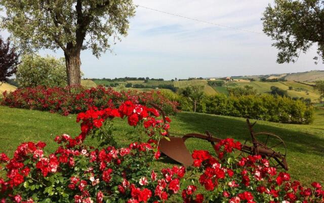 Agri Divin Amore