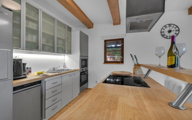 Villa in Dolni Branna With Sauna