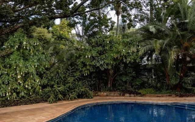 The 5 Sandalwood Lodge is Situated in Mount Pleasant - 2019