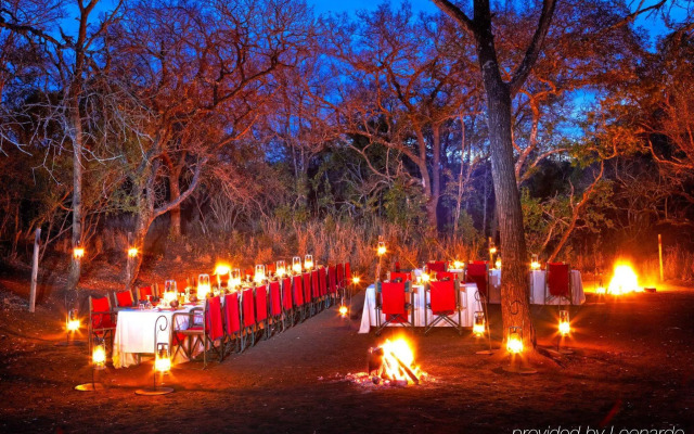 Thanda Safari