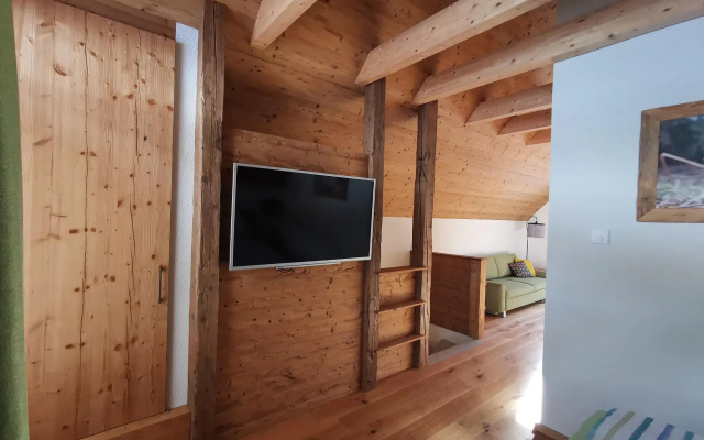 Premium Holiday home in Tauplitz with Sauna