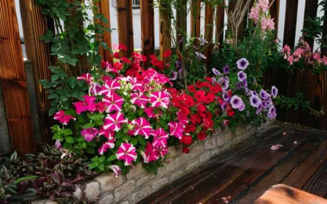 Zhuxia Hostel Guesthouse
