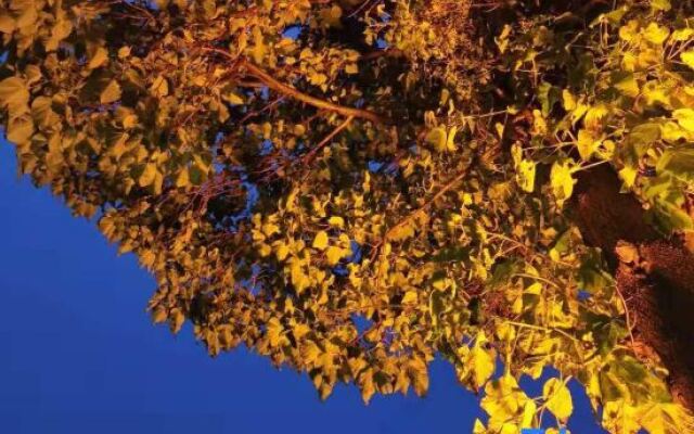 Changdao Dream1902 B&B