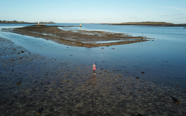 Luxury Apartment With Magnificent sea View