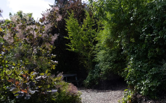 The Prospector on Miners