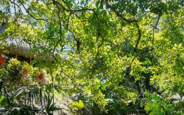 Ecohabs Bosques del Tayrona