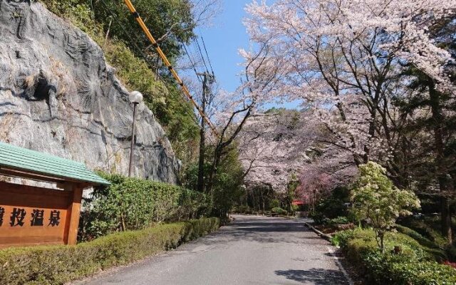 Sanage Onsen Hotel Kinsenkaku