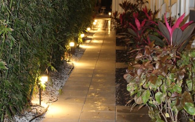 The Elephant Ear Cabanas