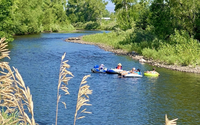 118 Whitcomb Unit B upper