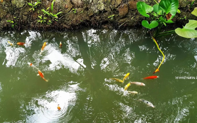 Warakorn Baansuan - Amphawa