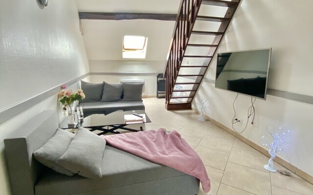 Superbe appartement & piscine privée à Sens
