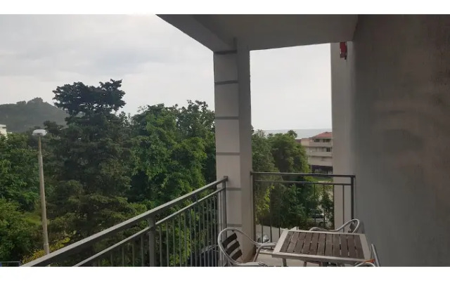 Hotel Paun