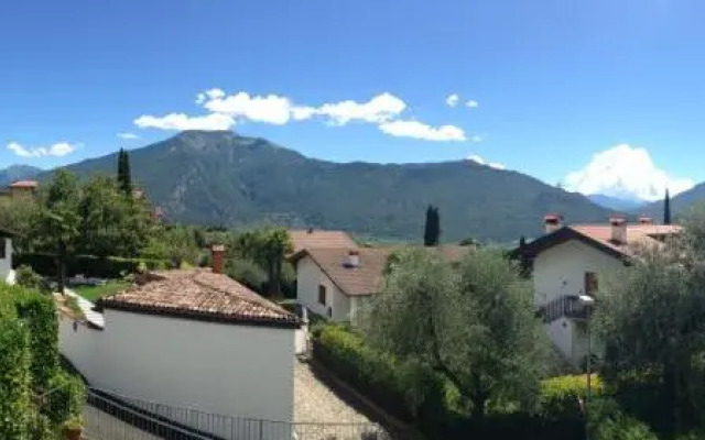 Verde E Panorama