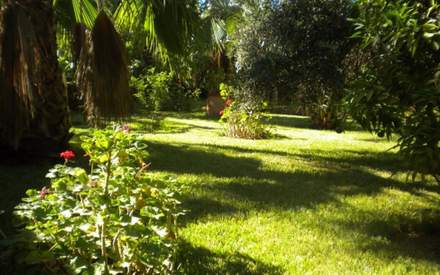 Riad Souiguia
