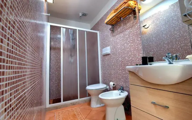 OLYMPUS PARK amnesia