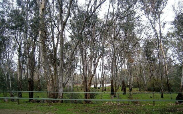 Discovery Parks - Echuca