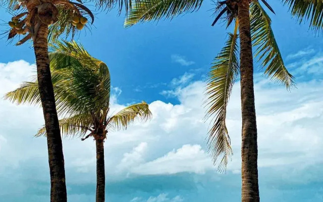 Pousada Iapoi Beira Mar Maracaípe