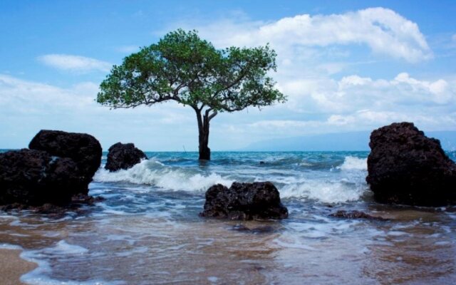 Bai Thom Cay Vong Nem Resort