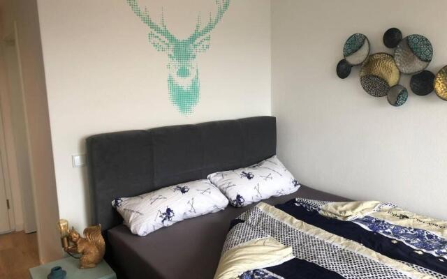 Apartment Tälerblick 2 -neu modernisiert-