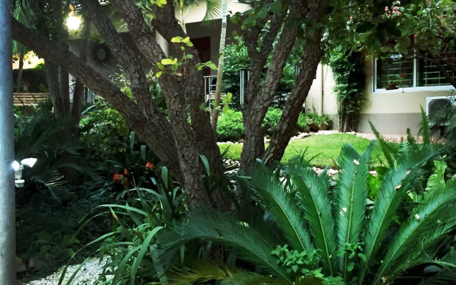 Palmwood Lodge