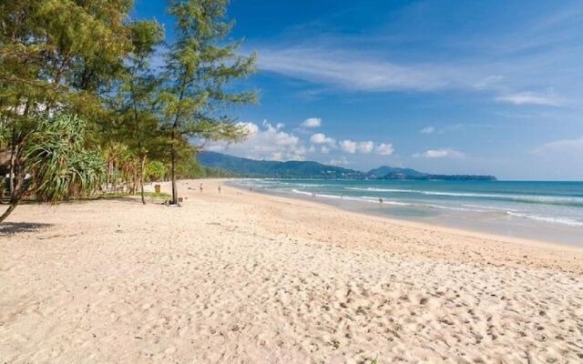 The Aristo Beach by Holy Cow 318