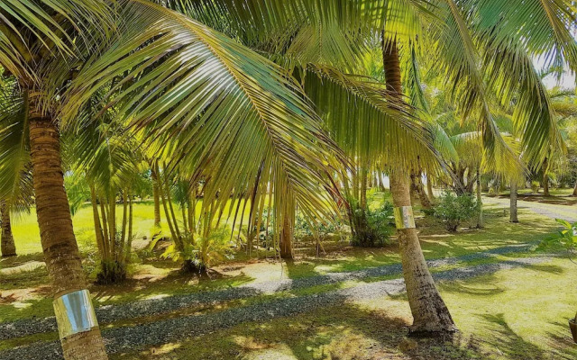 Huahine - Tipanier House
