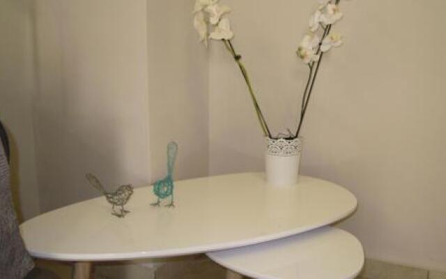 Smile Studio