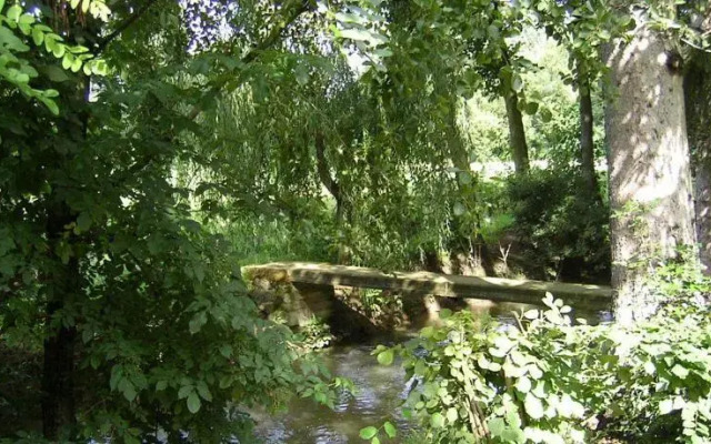 Öreg Fenyő Vendégház