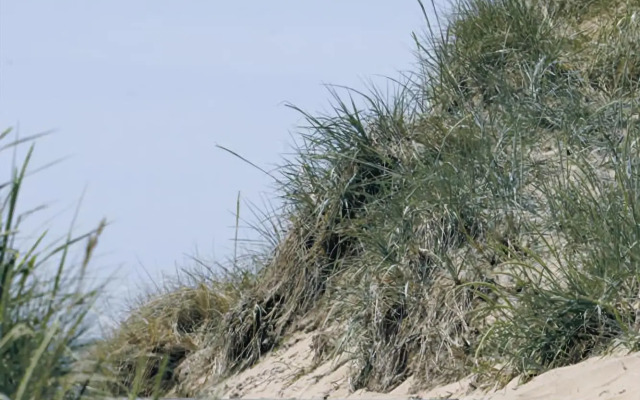 Falkenberg Strand