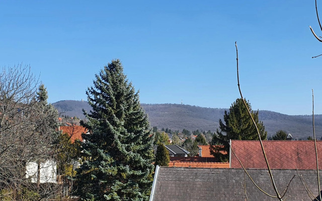 Zöld Relax Apartments