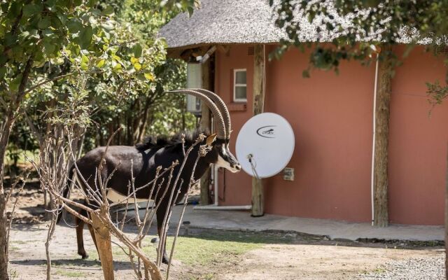 Mokorro Game Ranch and Lodge