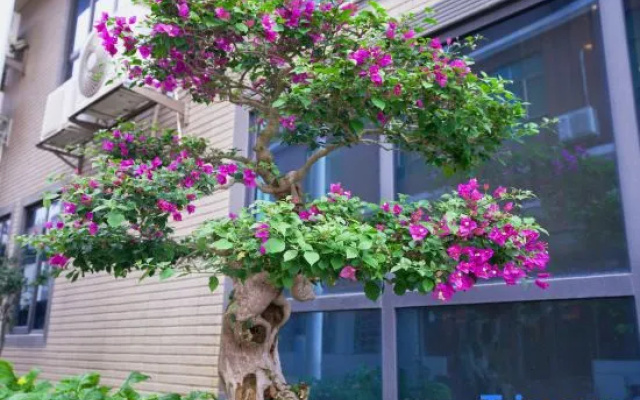 Zhuhai Renxi Holiday – Exterior – Zhuhai