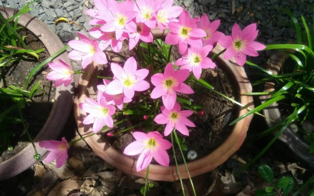 Rim Than View Resort