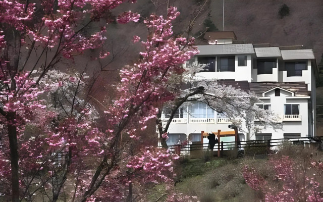 Shoji Mount Hotel